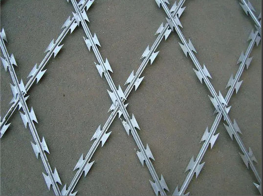 qualité  75mmx150mm Welded Razor Wire Mesh Rot Proof Function usine