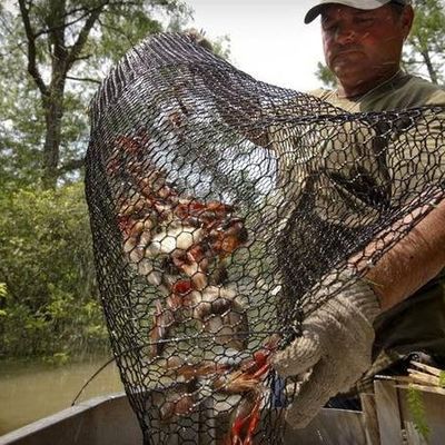 19 épaisseur filet de câble en PVC revêtu résistant à l'eau salée