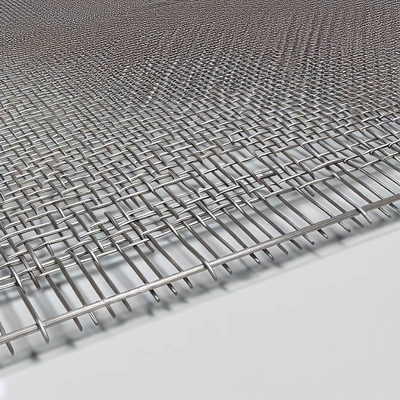 Écran en treillis tissé en acier inoxydable Nature avec des diamètres de fil de 0,6 mm, 0,7 mm, 0,8 mm, 0,9 mm, 1,0 mm, 1,6 mm
